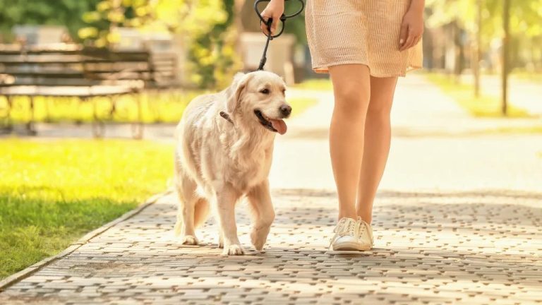 Weekend Side Hustles: Flexible One‑Day Jobs to Boost Your Income and Keep Your Time