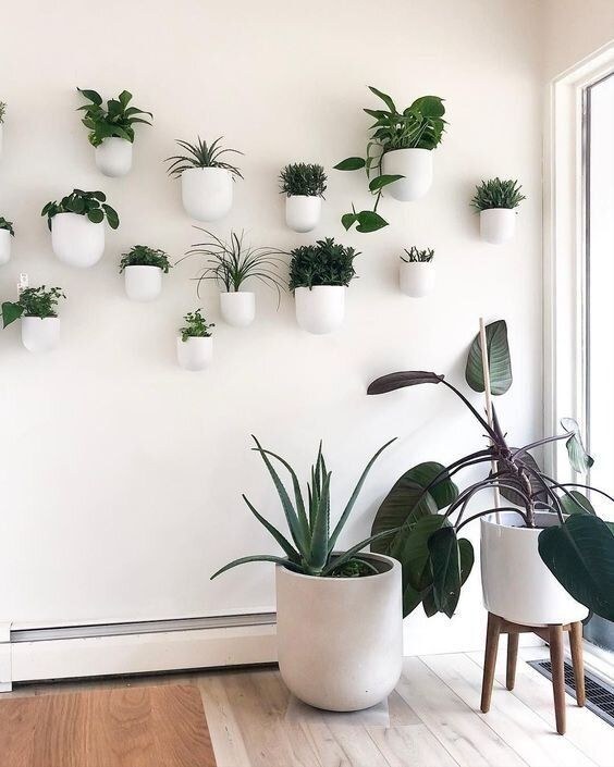 Combine Storage and Display with Functional Wall Systems