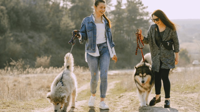 Offbeat but Lucrative: Niche Ideas That Stand Out