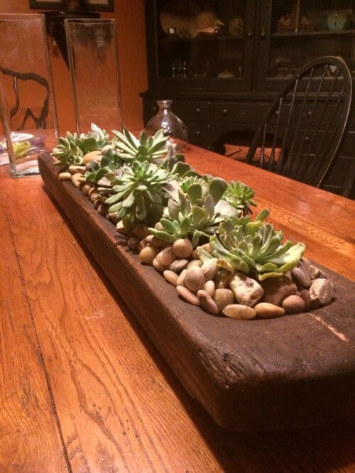 Pebble-Bedded Succulent Dough Bowl